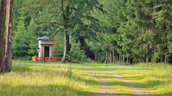 A small chapel with a simple design is nestled in a lush green forest, surrounded by tall trees and dense foliage. A narrow path leads towards the chapel, bordered by grass and scattered wildflowers. Sunlight filters through the trees, creating a serene and peaceful atmosphere.