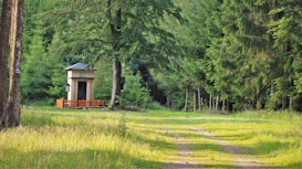 A small chapel with a simple design is nestled in a lush green forest, surrounded by tall trees and dense foliage. A narrow path leads towards the chapel, bordered by grass and scattered wildflowers. Sunlight filters through the trees, creating a serene and peaceful atmosphere.