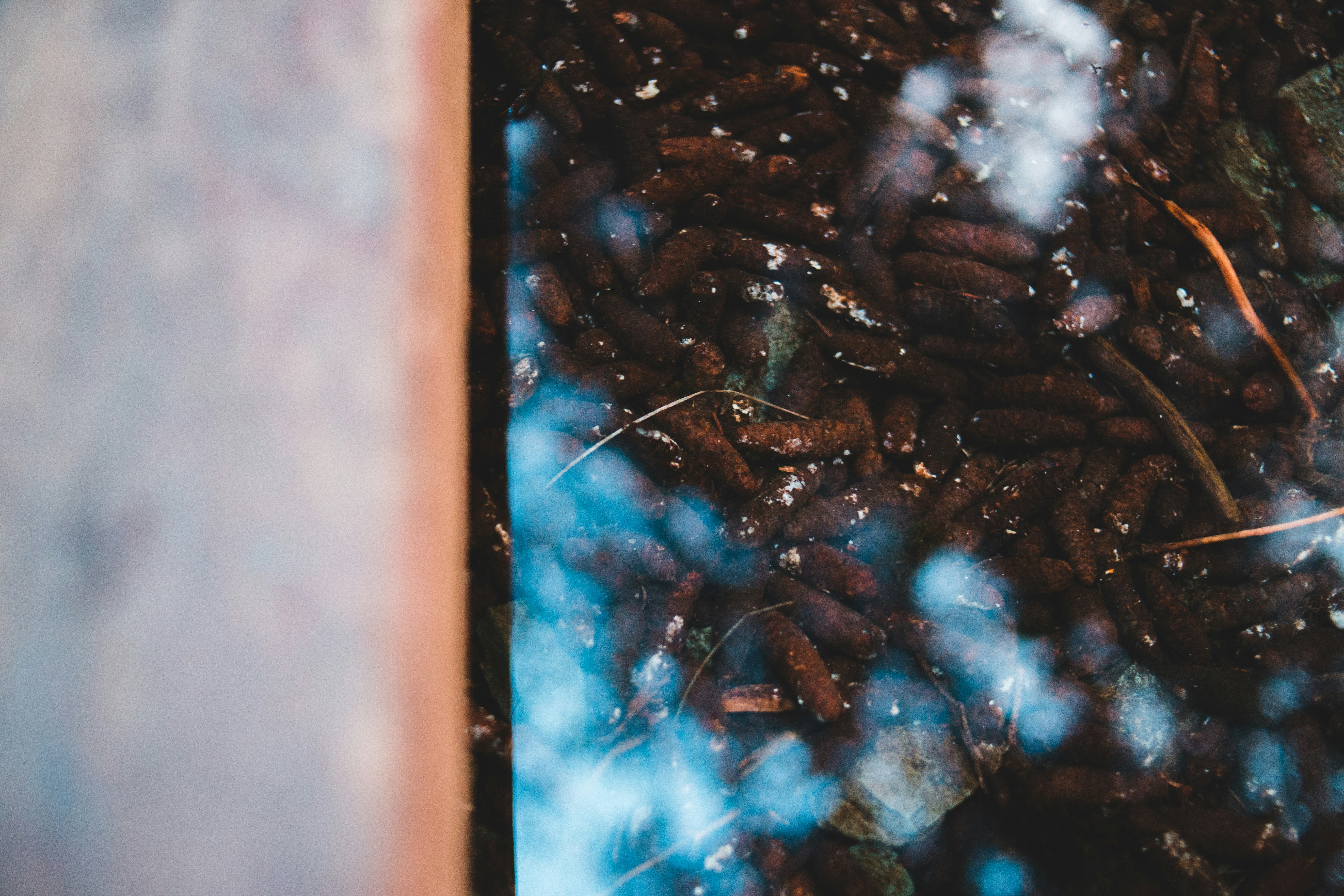 Photo by introspectivedsgn