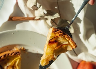 pie on white ceramic plate