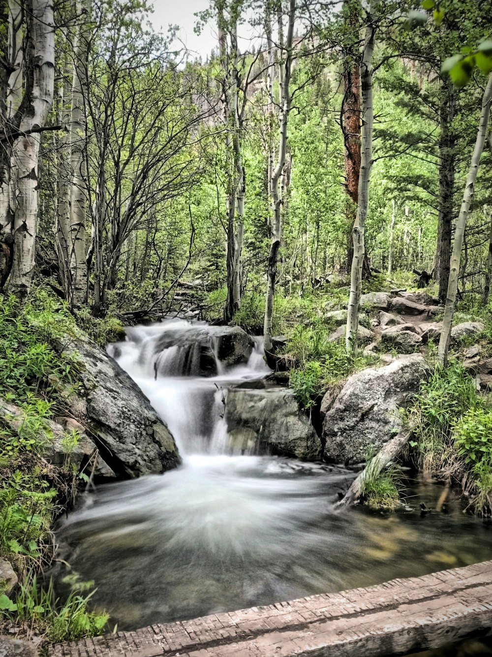 long exposure photography body of water surrounded with trees