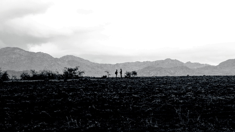 grascale photography of field and mountain