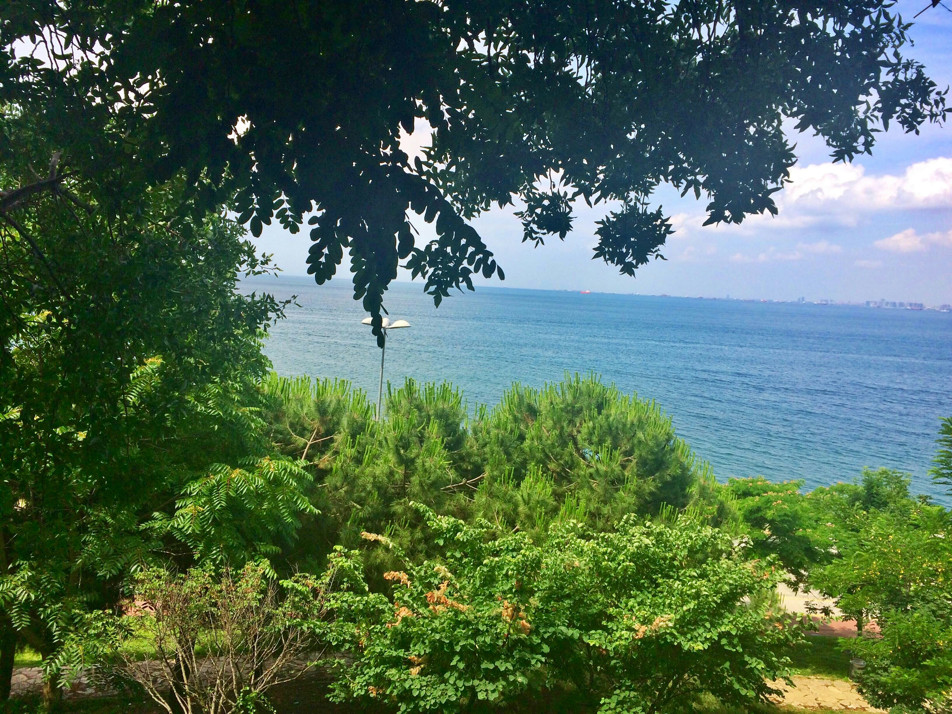 Photo by tugbakaledibi