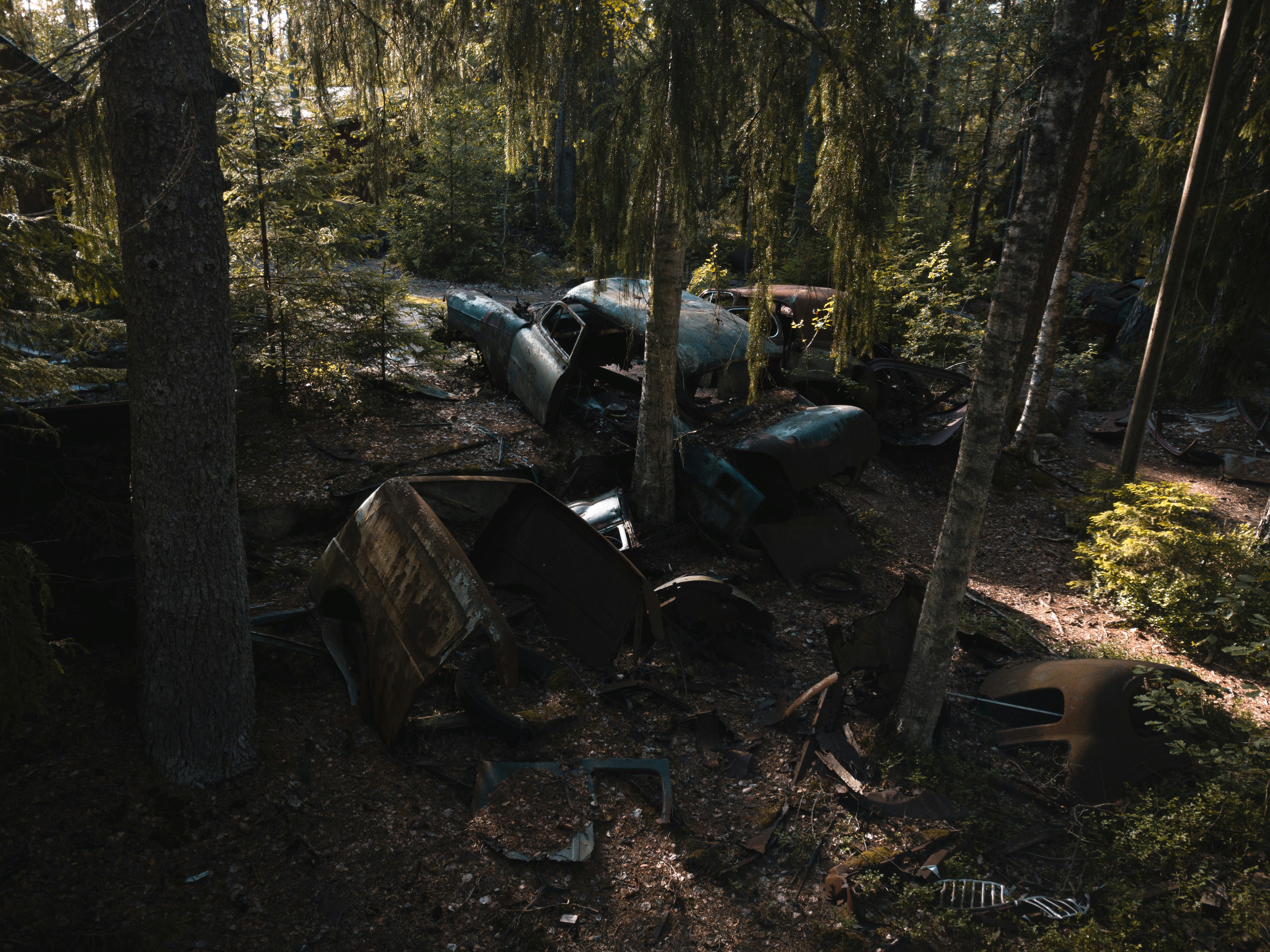 Fahrzeugwracks im Wald verstreut