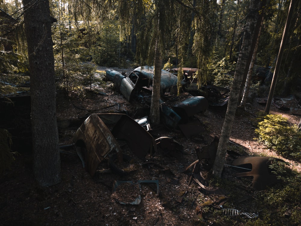 wrecked vehicle parts scattered in the forest