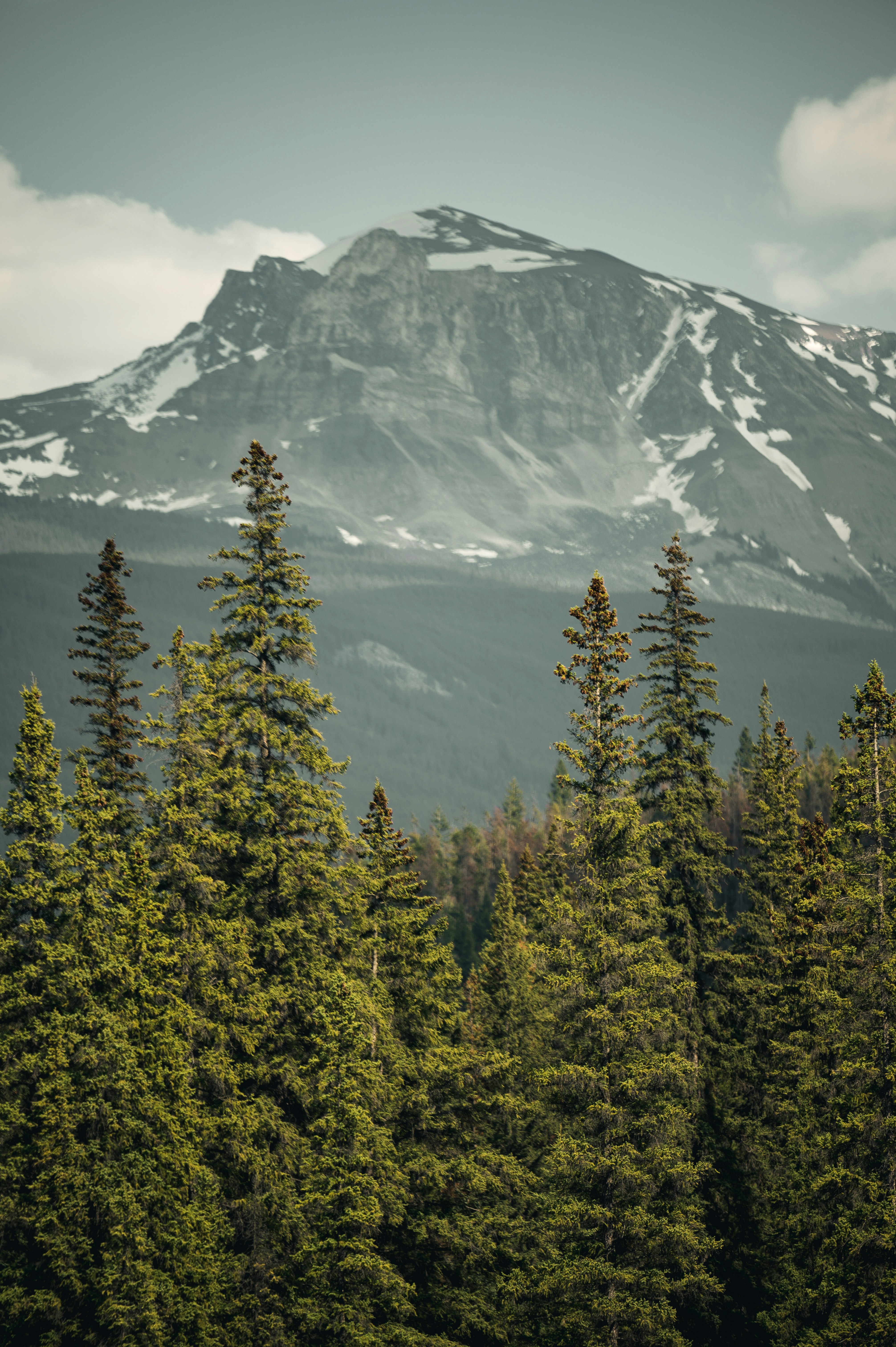 Photo by maxlarochelle