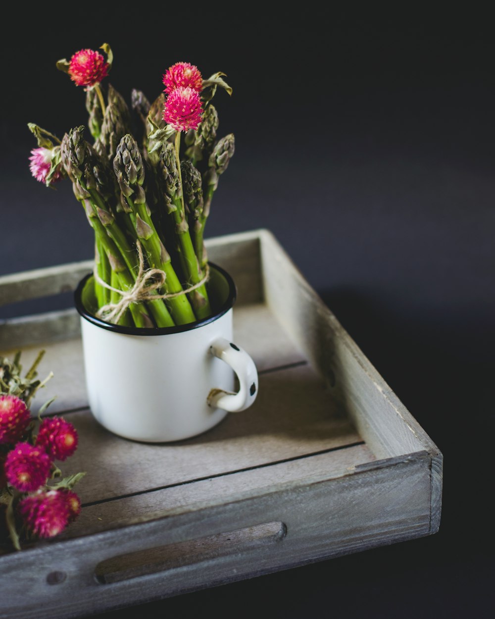 plants in white vase