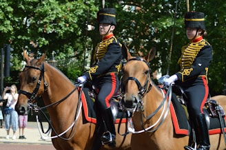 Two mounted guards dressed in traditional ceremonial uniforms sit on horses. The uniforms feature intricate gold braiding and are accented with red stripes. The guards wear tall black hats and hold reins in their gloved hands. They are positioned in a lush outdoor setting with large green trees in the background. In the distance, a person appears to be taking a photo.