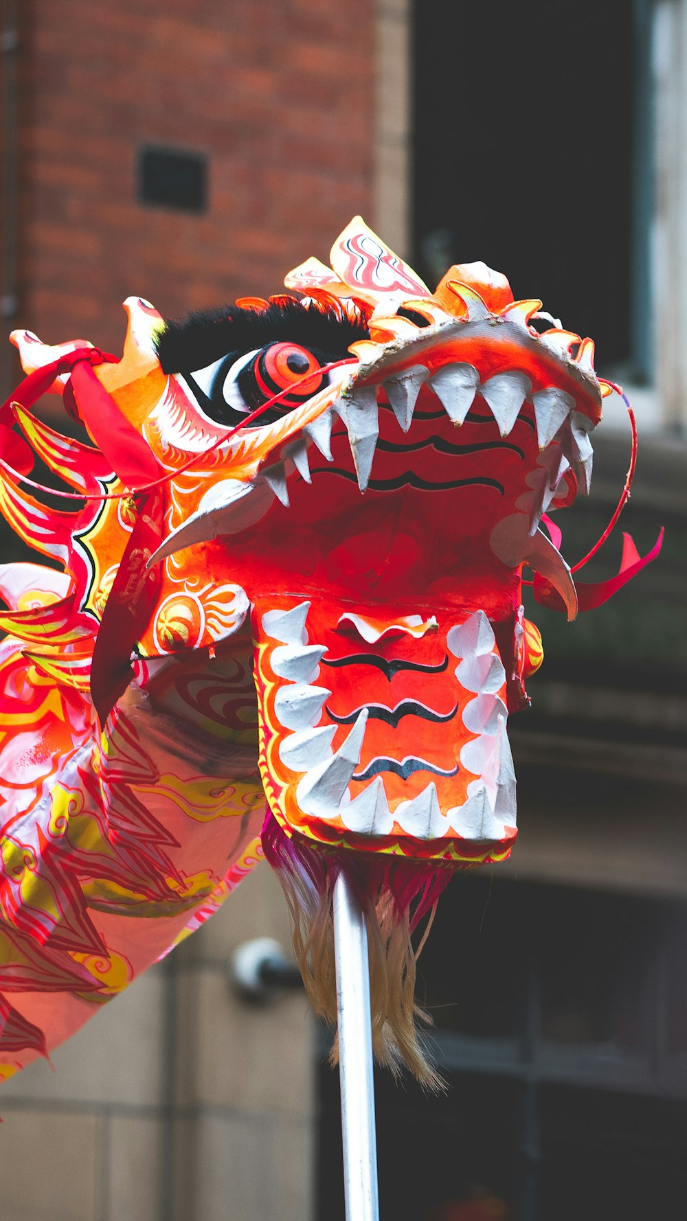 red and white dragon dance