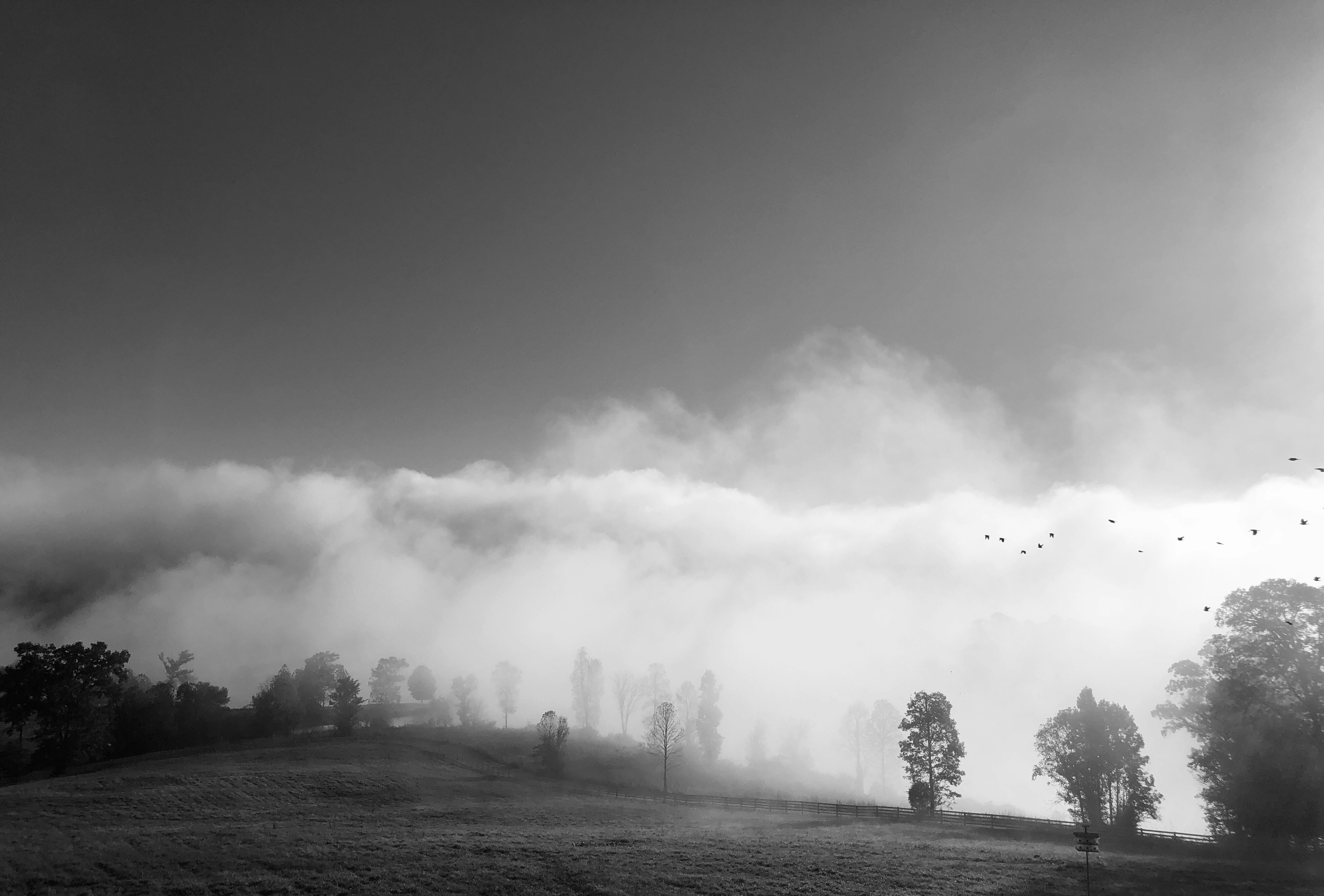 Photo by lizzieleephotography