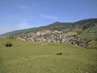 A small village nestled in a lush valley surrounded by rolling hills and dense forests. The village is made up of numerous colorful houses clustered together, with winding paths and roads connecting them. The foreground features a wide expanse of green grass under a clear blue sky.