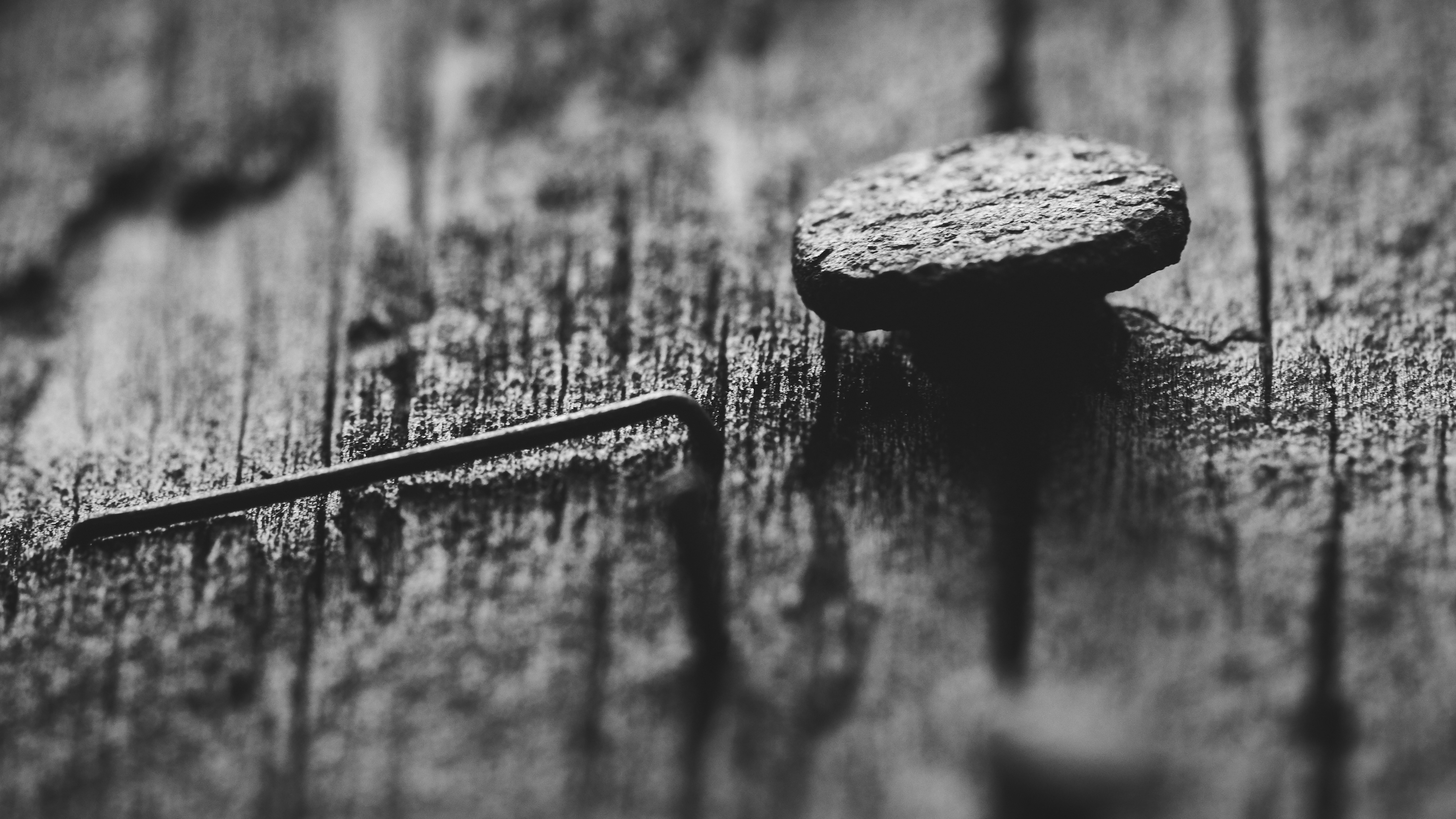 Right Ways to Get Rid of Nail Fungus Fast