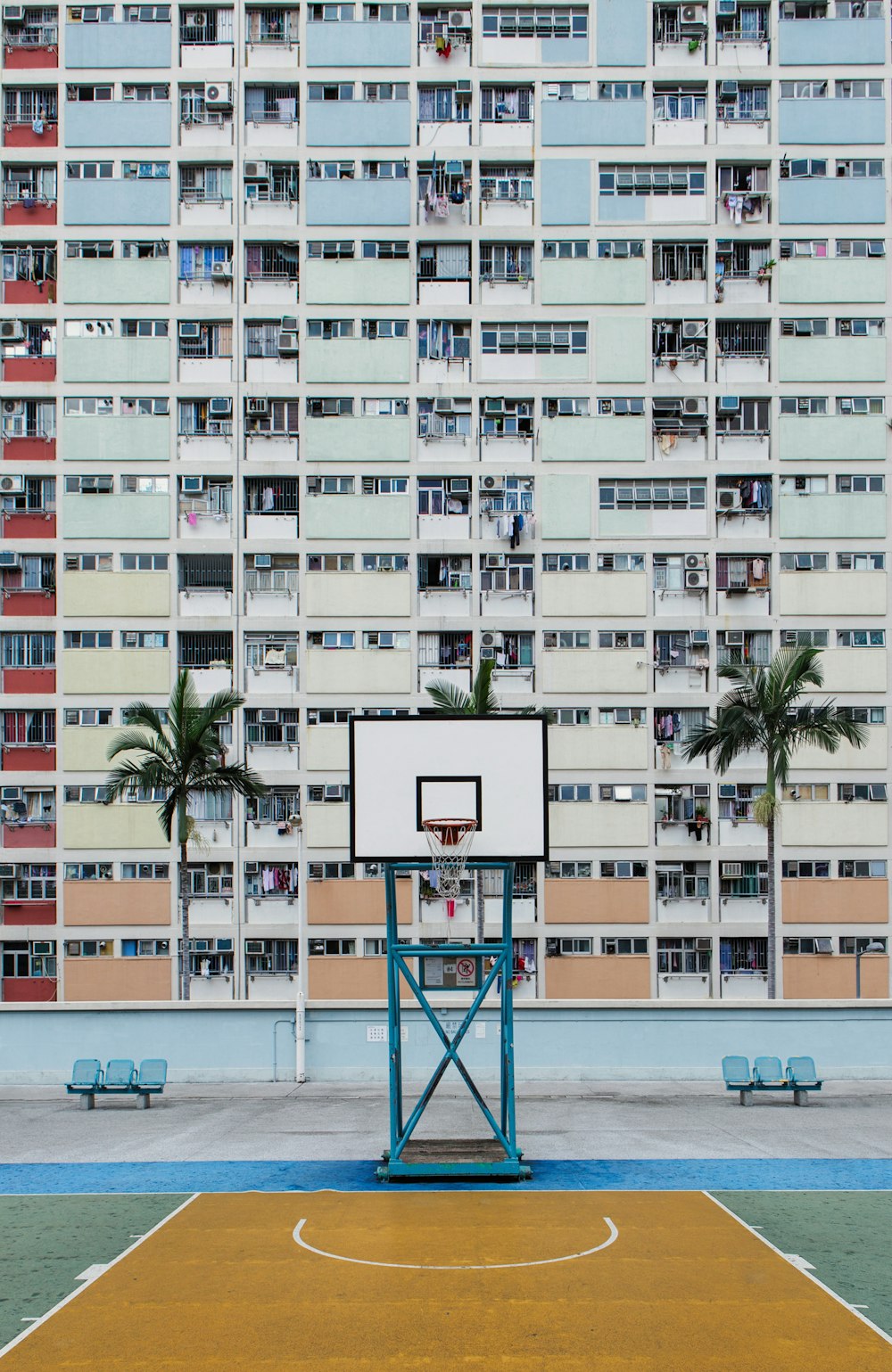 basketball hoop