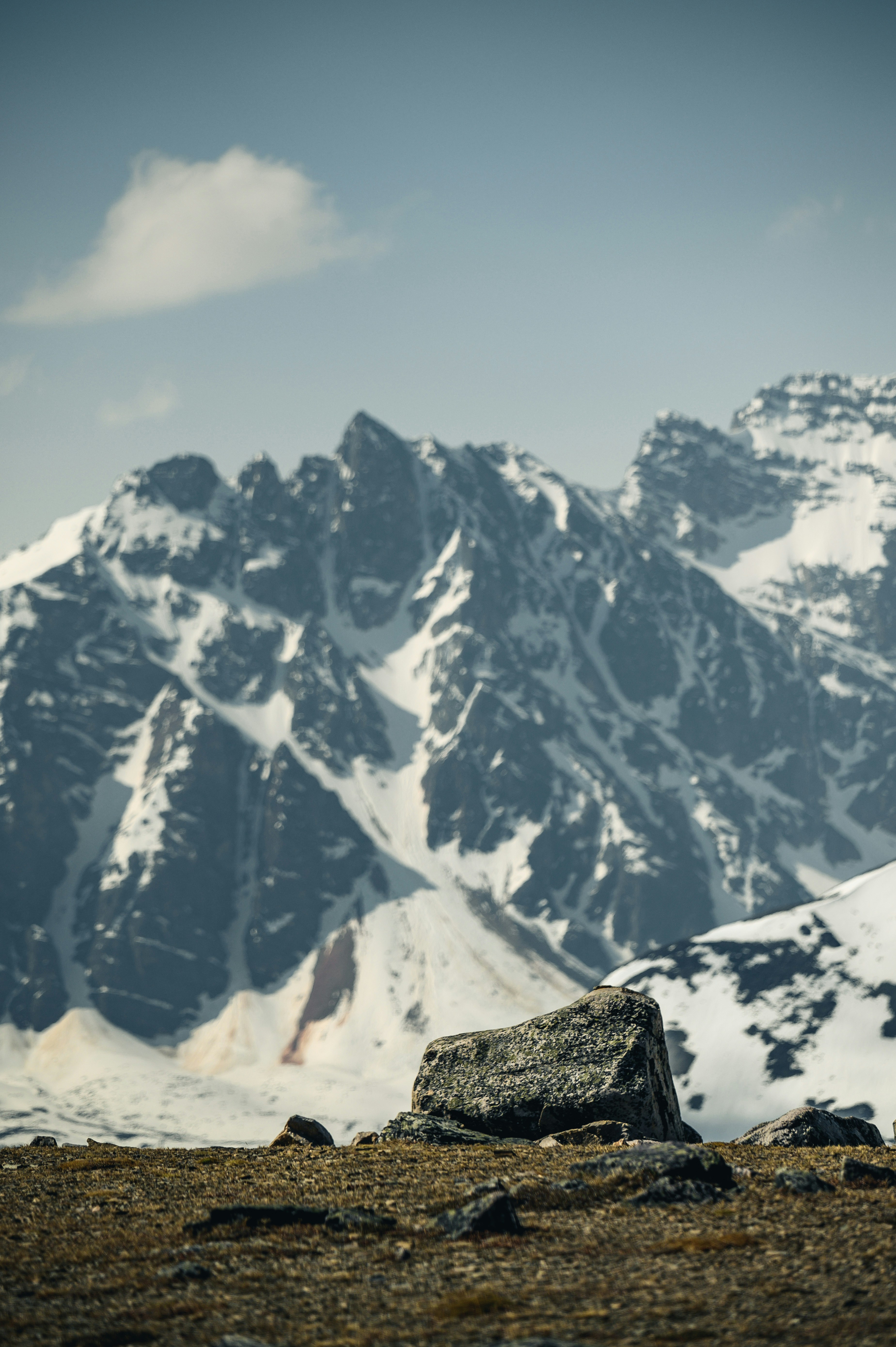 Photo by maxlarochelle