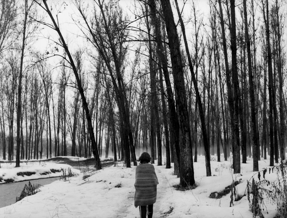 woman standing near bare trees