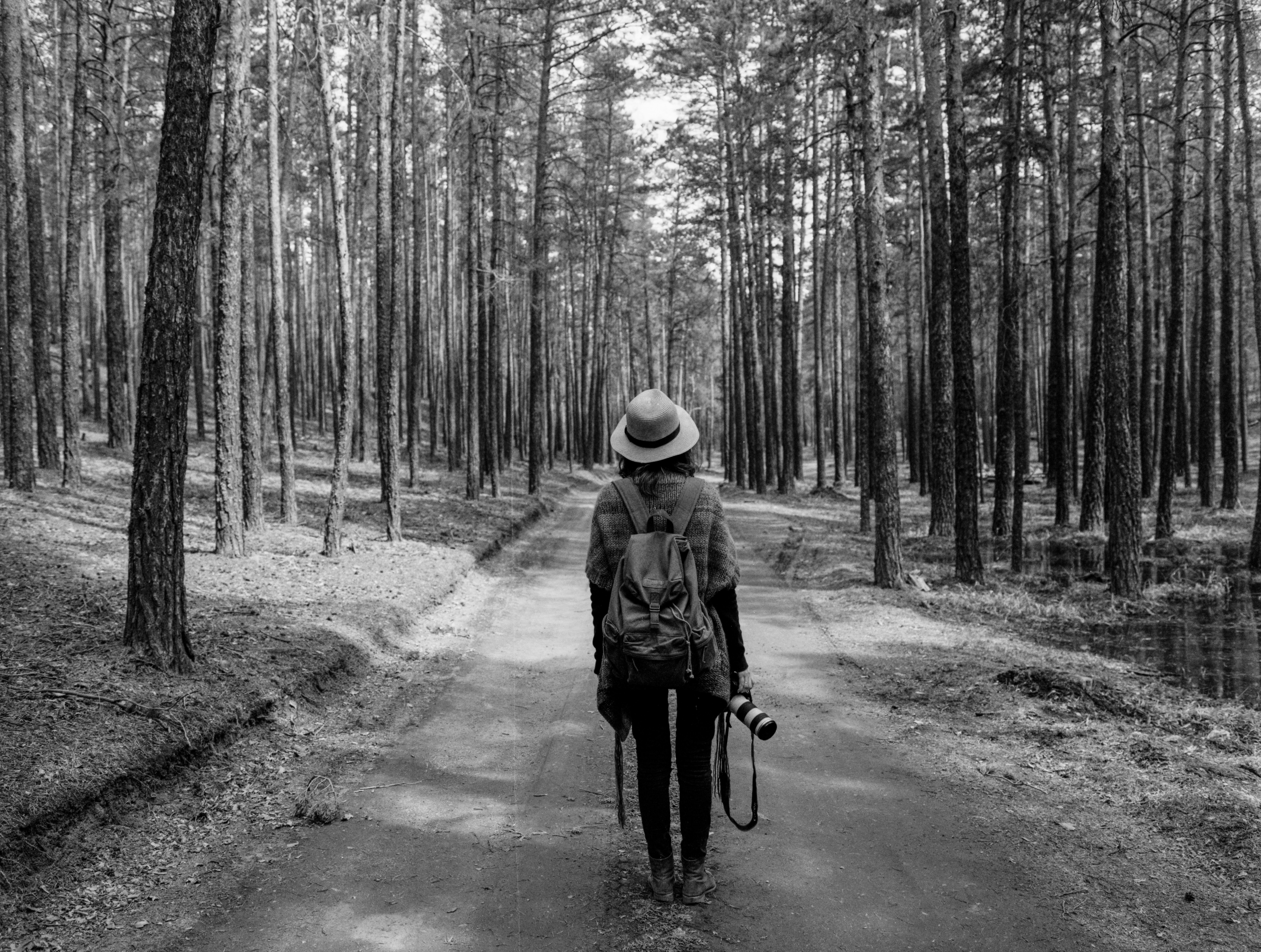 Photo by alexeydemidov