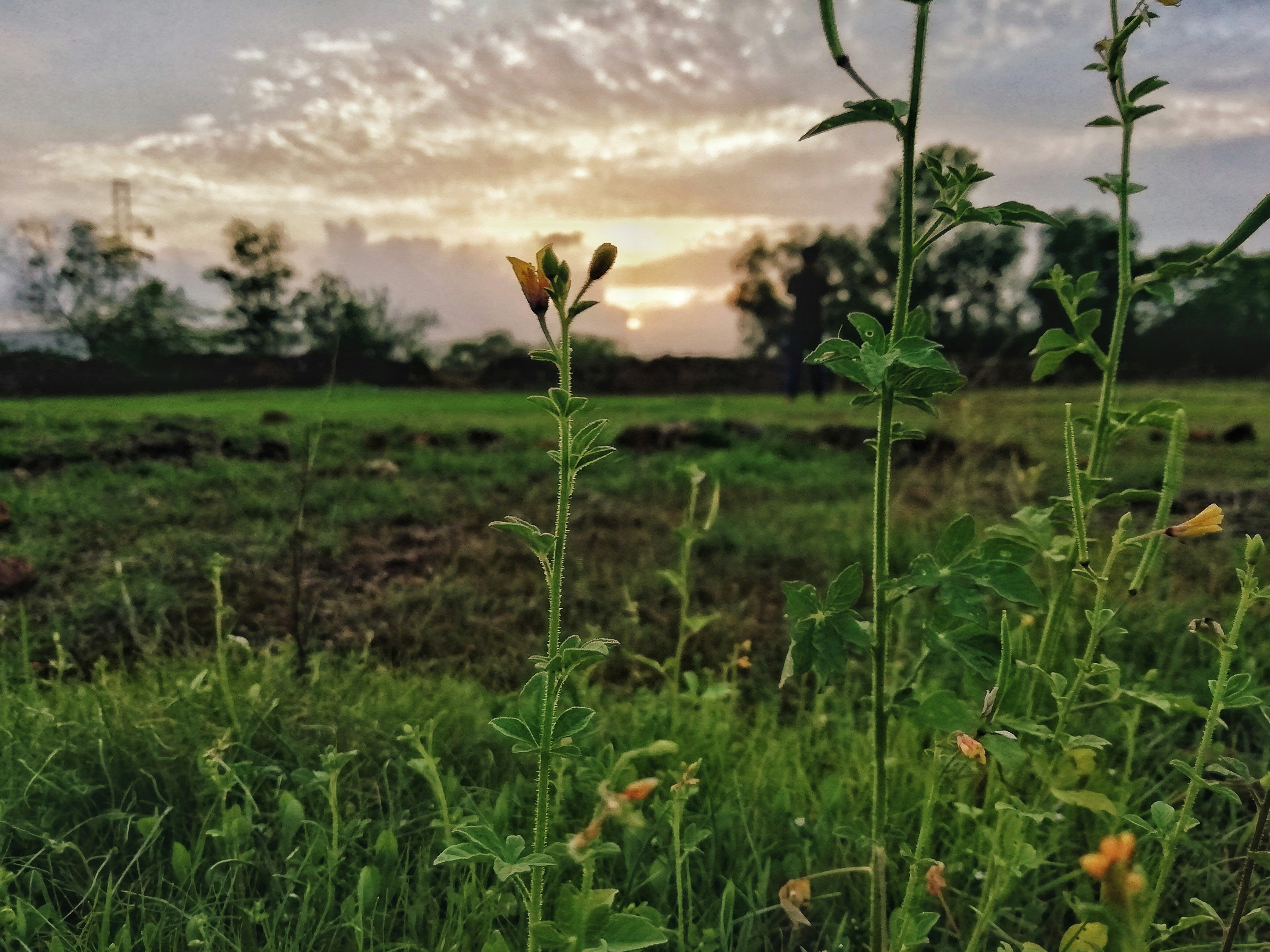 Embracing a Gentle Morning Routine: A Guide to Starting Your Day Right Without the 5 AM Hustle