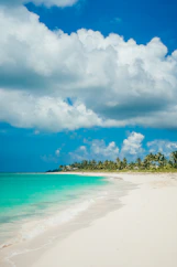 seashore during daytime