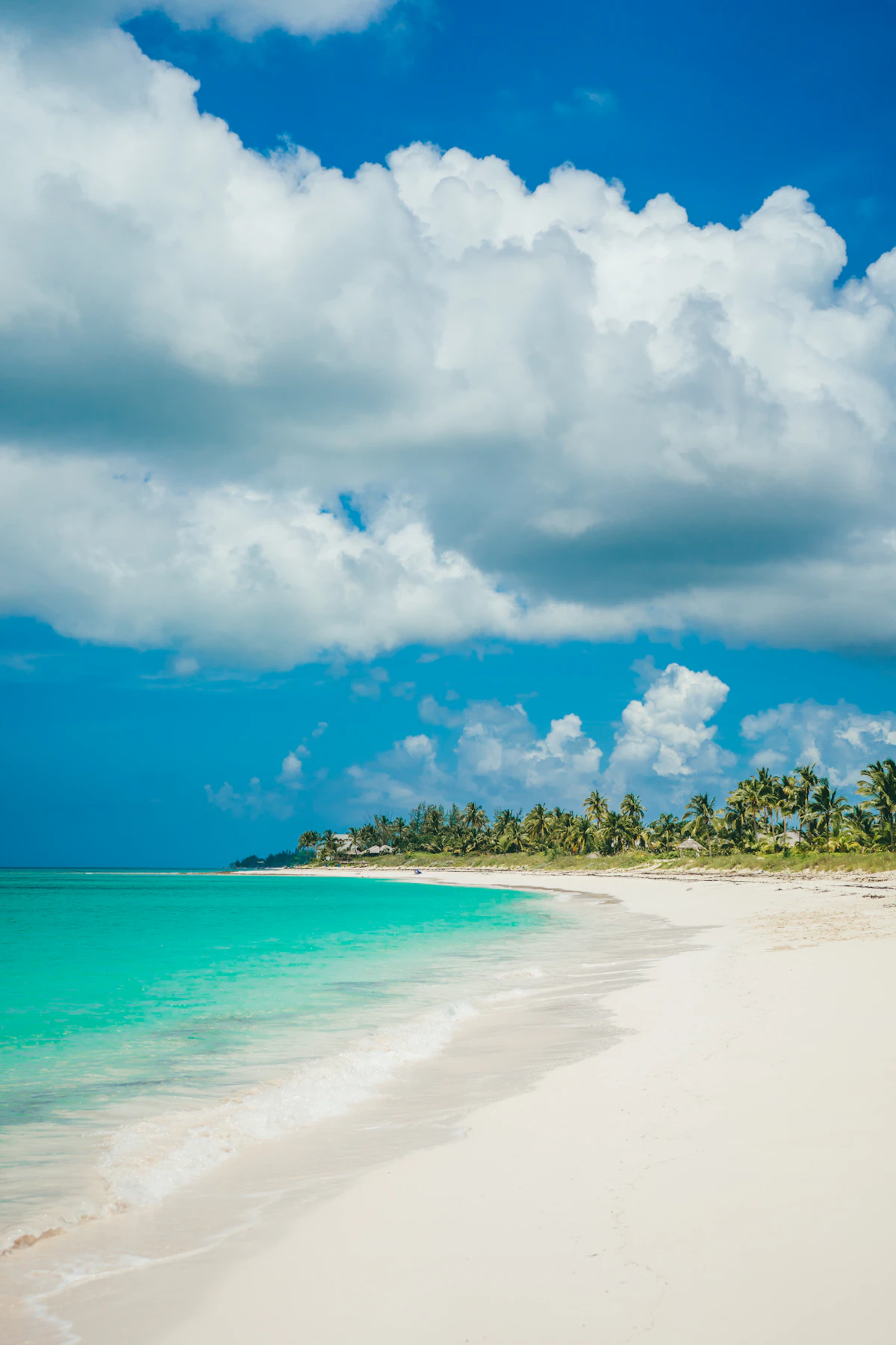 Clear shallow turquoise water and pale sand on a Bahamian beach