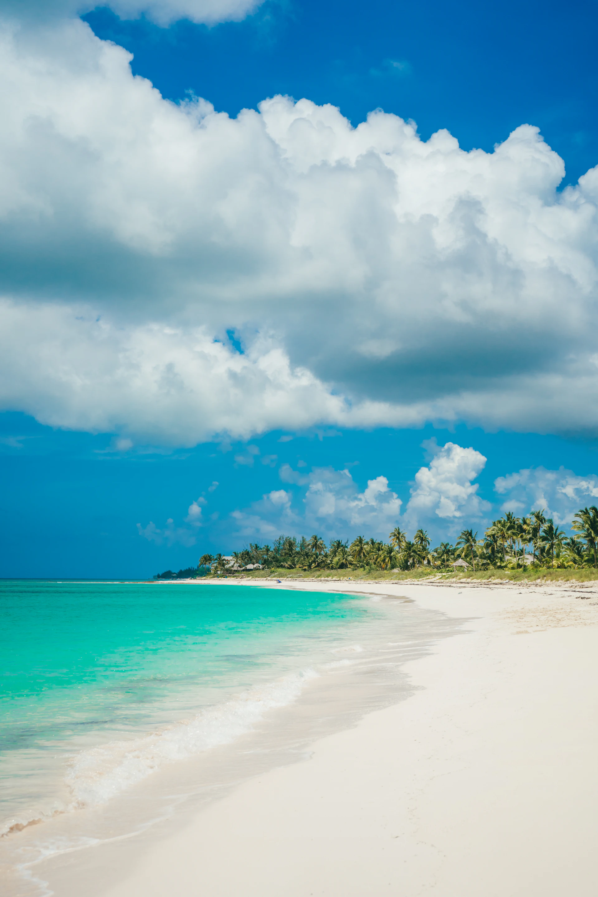 Playa de aguas turquesa en el Caribe