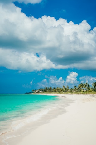 seashore during daytime