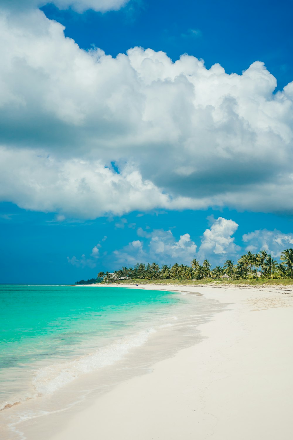 seashore during daytime