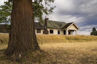 white and green house near tree