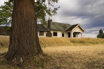 white and green house near tree