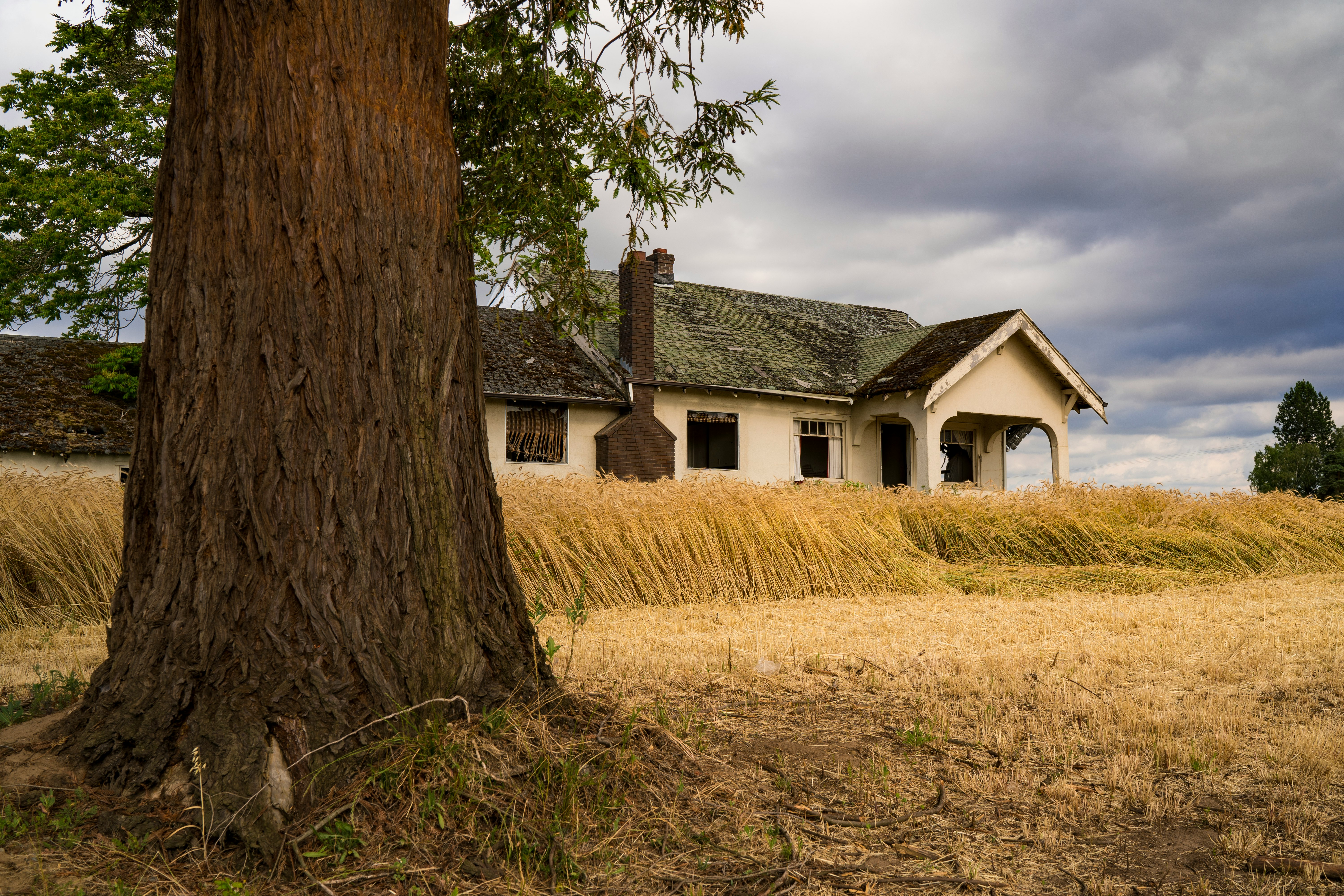 white and green house near tree