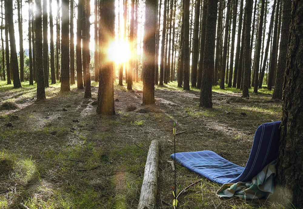 Silla de camping azul bajo los árboles del bosque