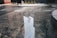 A wet concrete surface with a puddle reflecting the image of a distant tree or object. Various textures and stains are present on the ground, with some yellow and orange traffic cones and barriers in the background. Trash bins are also visible near a red wall.