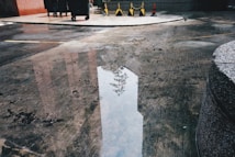 A wet concrete surface with a puddle reflecting the image of a distant tree or object. Various textures and stains are present on the ground, with some yellow and orange traffic cones and barriers in the background. Trash bins are also visible near a red wall.
