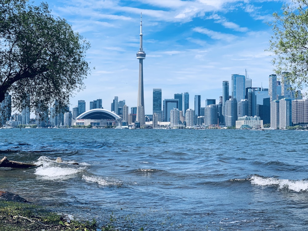 sea beside buildings during daytime