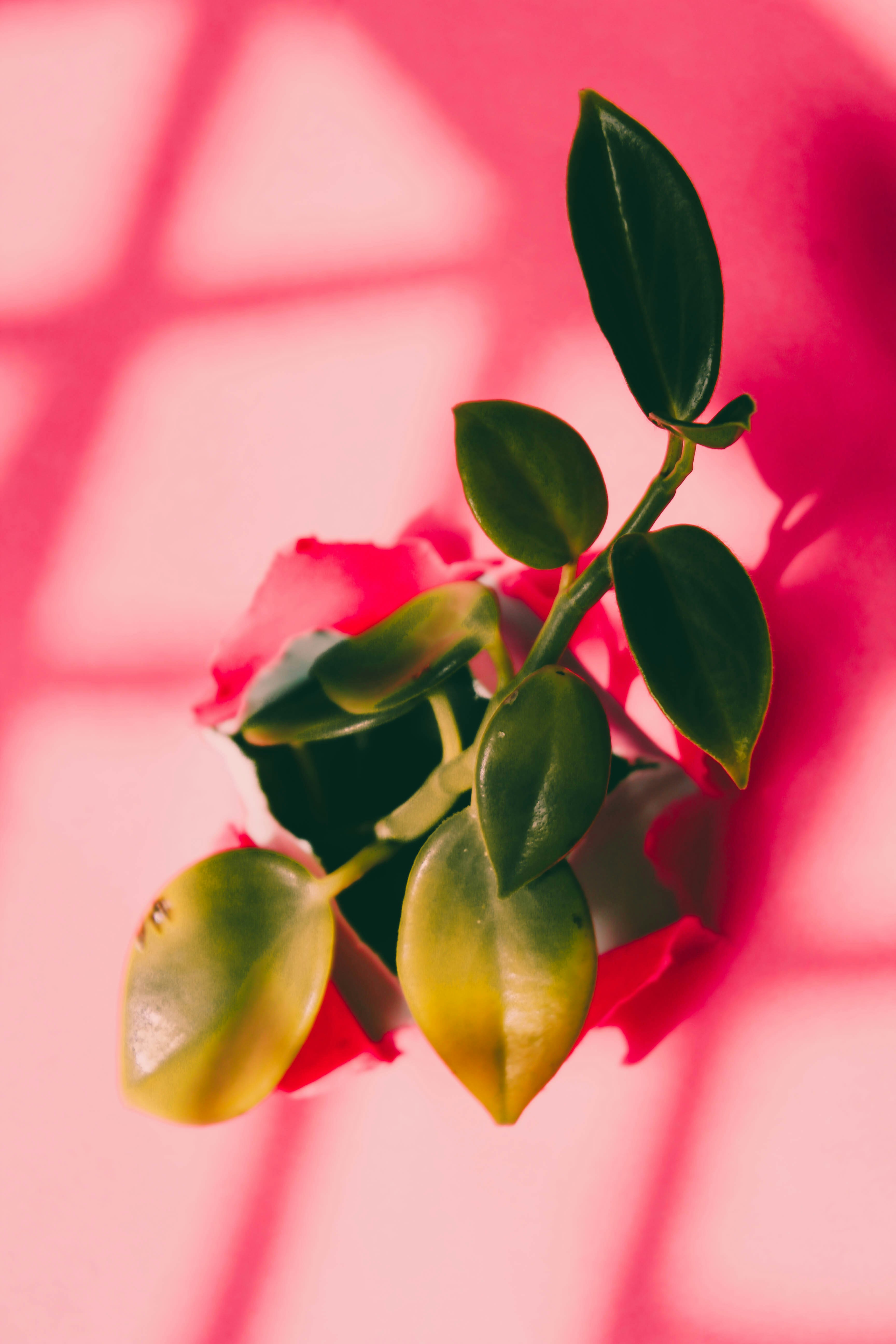 Photo by honeyyanibel