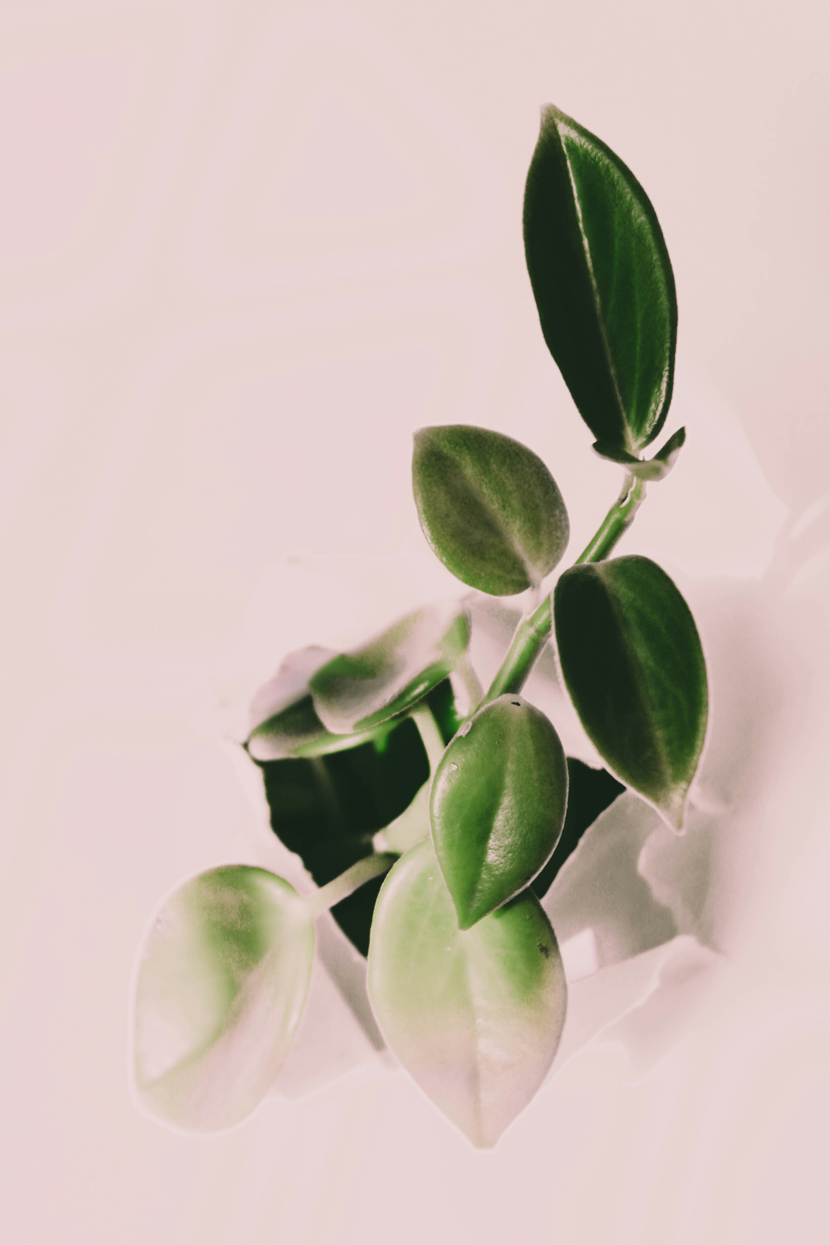 Photo by honeyyanibel