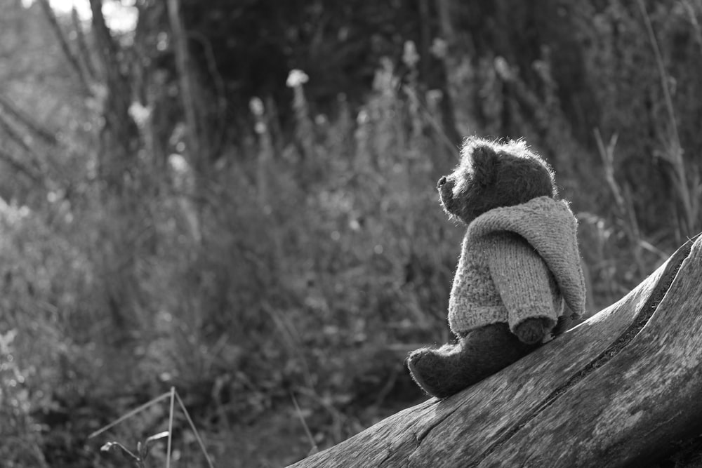 bear plush toy on log