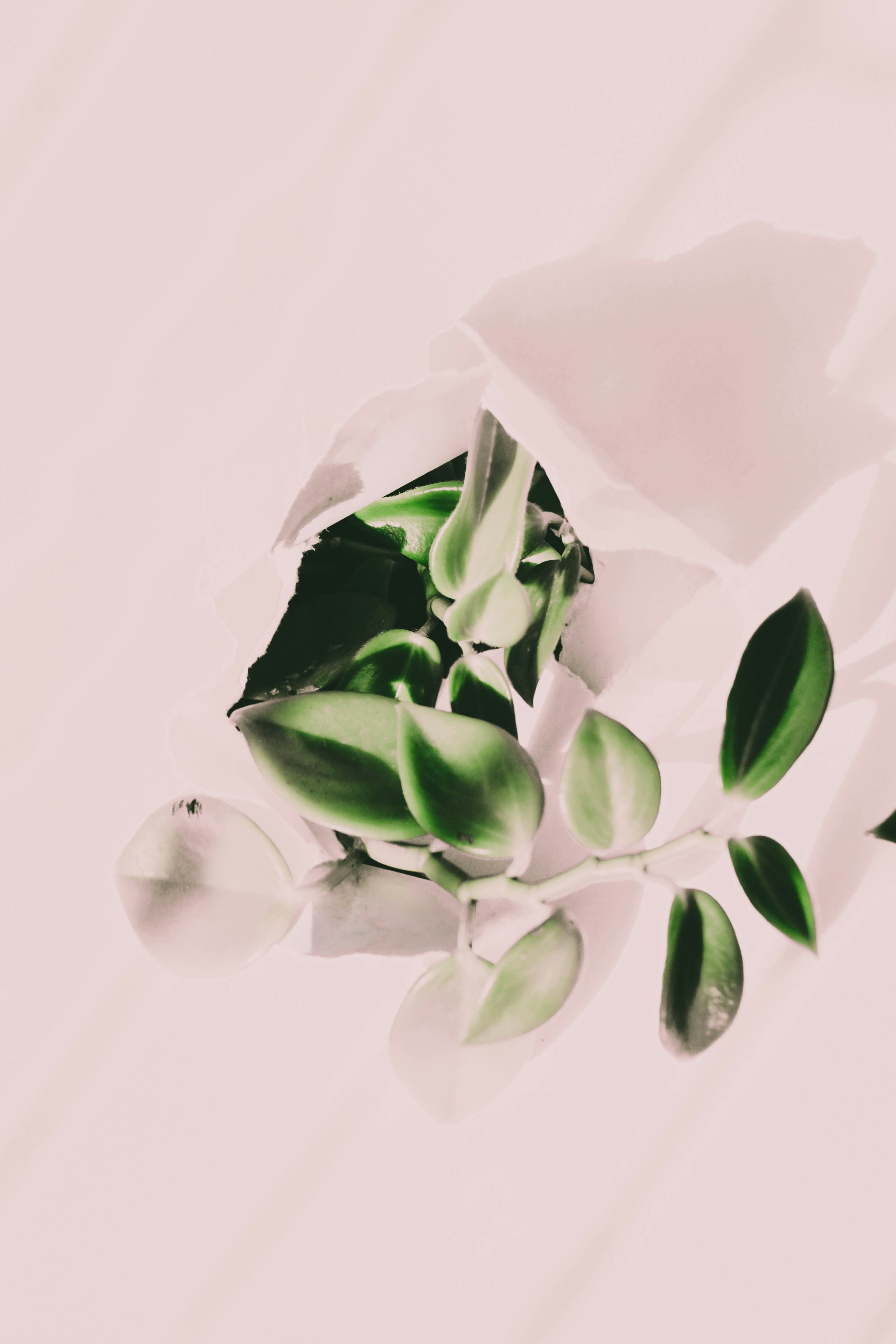 Photo by honeyyanibel