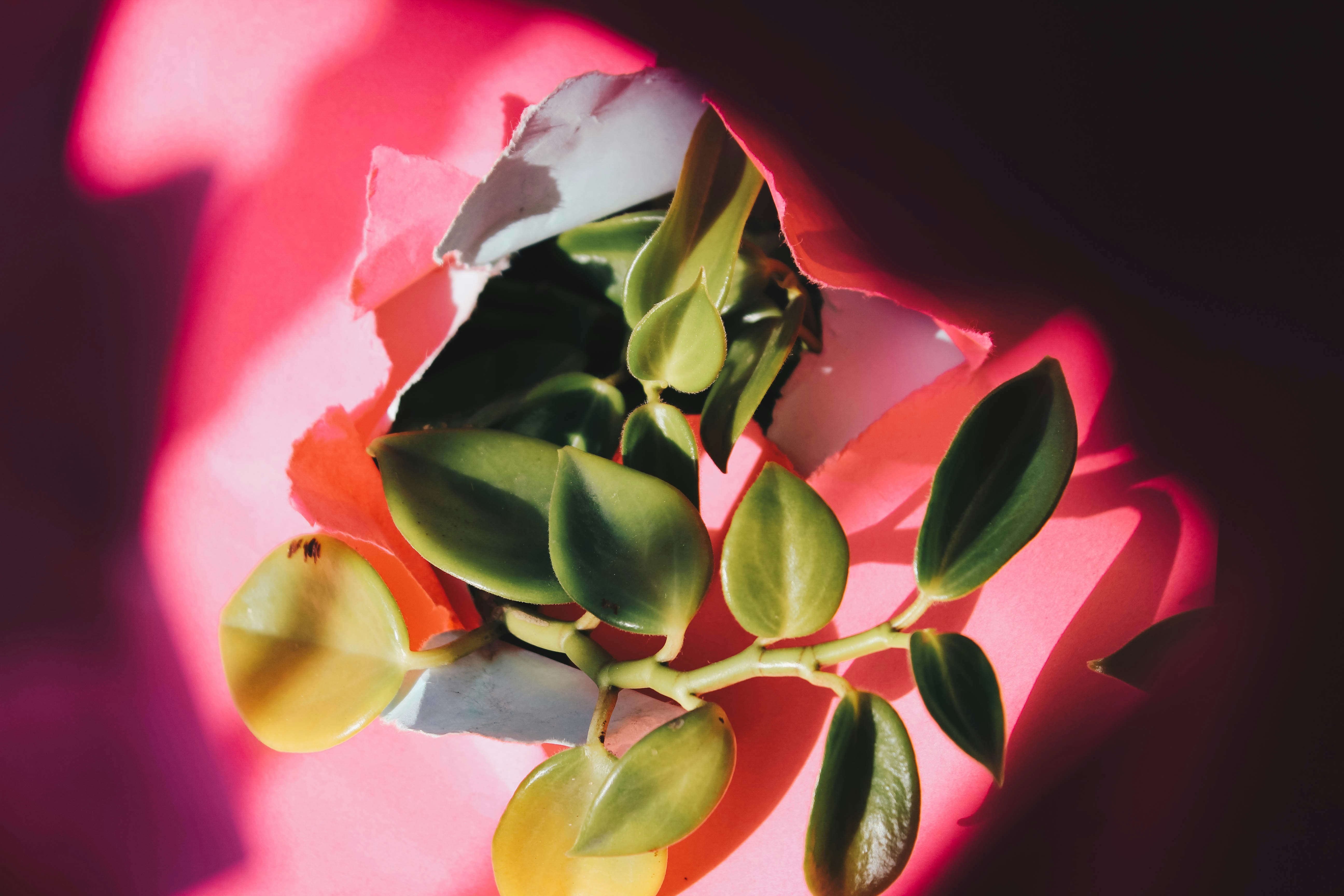 Photo by honeyyanibel