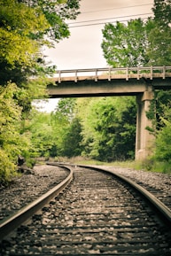 Railway tracks meander through a lush green forest beneath an elevated concrete road. The tracks are surrounded by dense trees and vegetation, with overhead power lines visible.