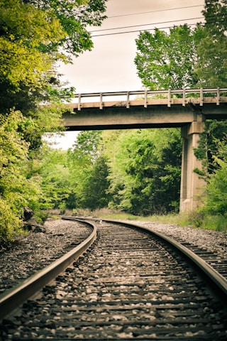 Railway tracks meander through a lush green forest beneath an elevated concrete road. The tracks are surrounded by dense trees and vegetation, with overhead power lines visible.