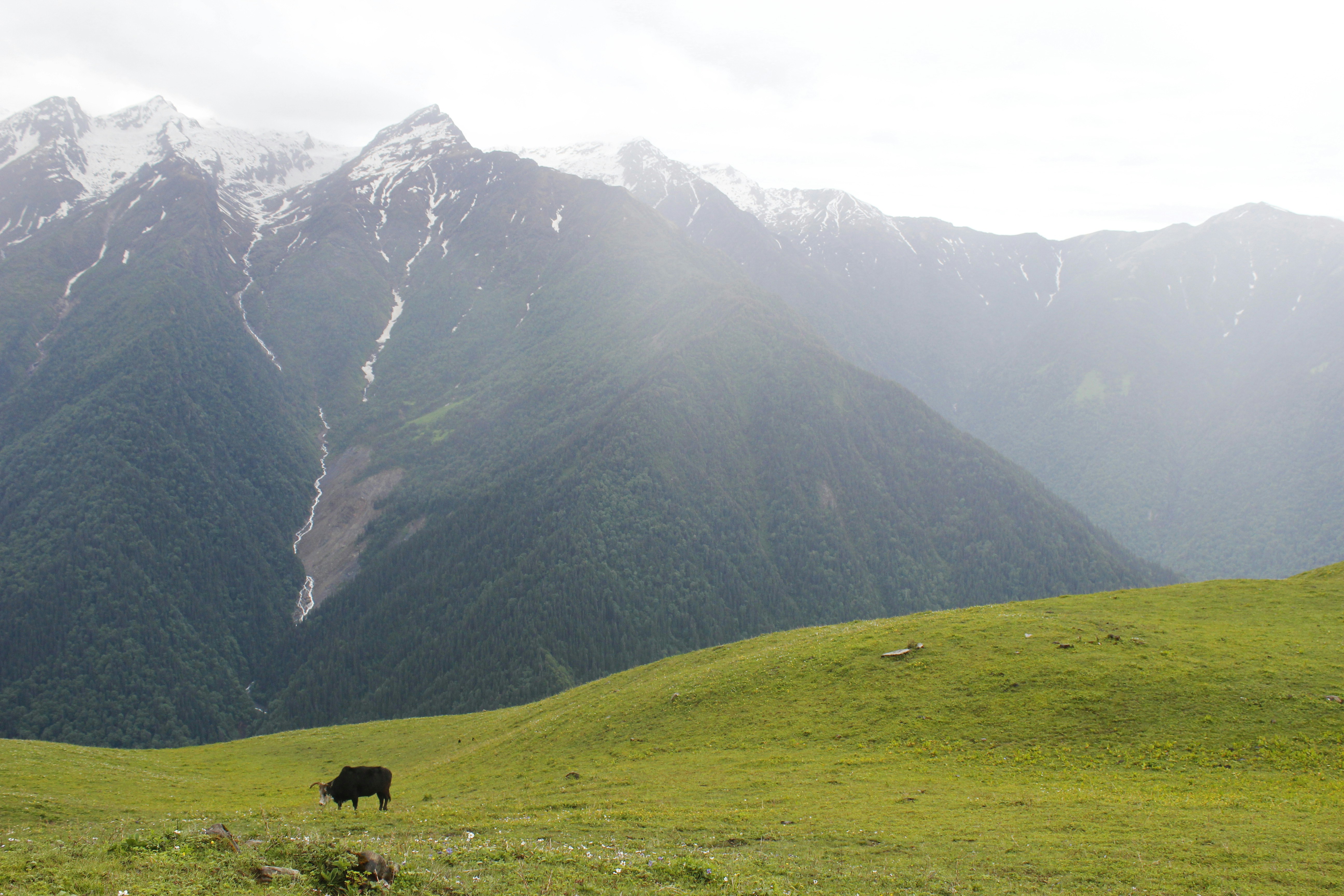 Photo by dipankar757