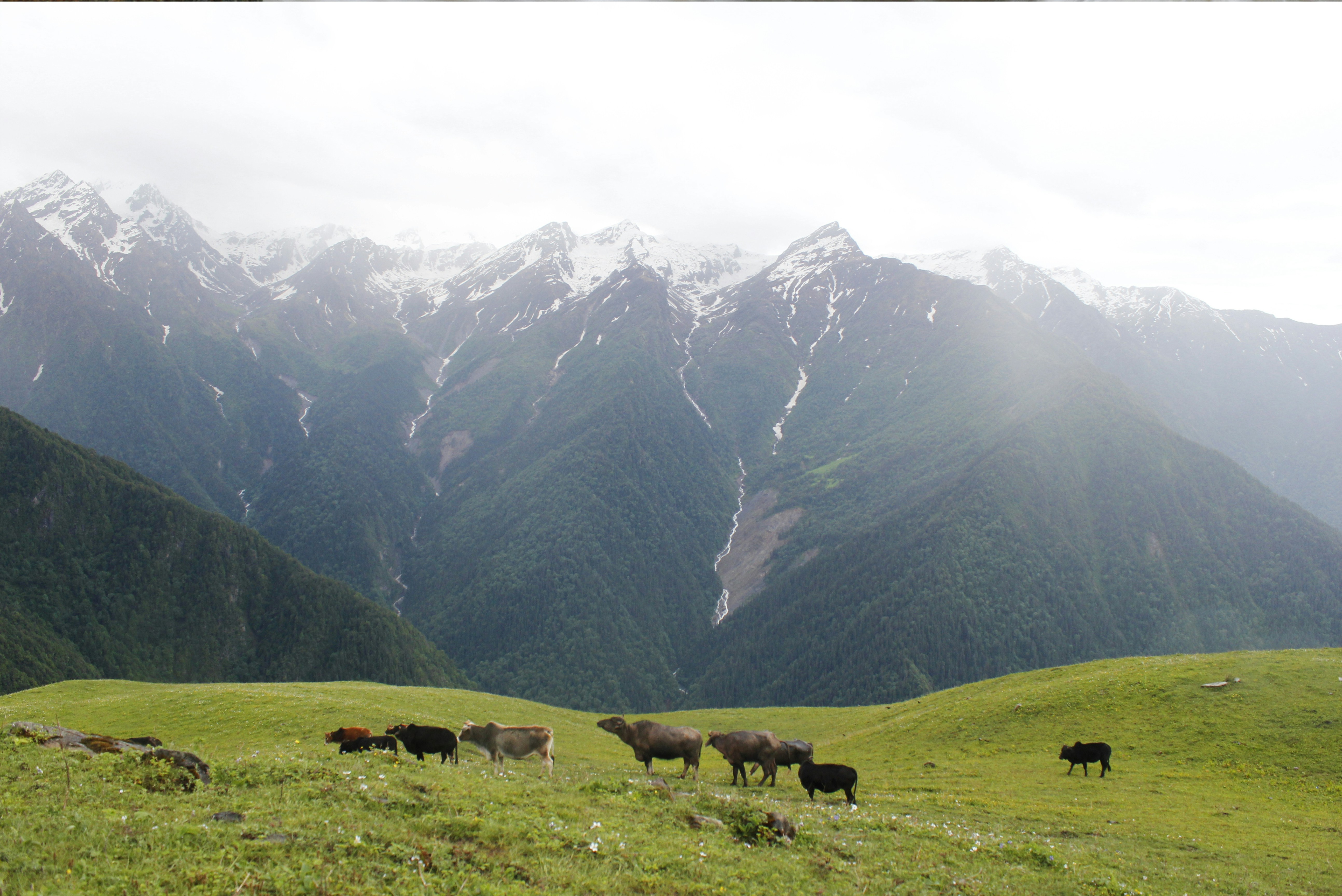 Photo by dipankar757