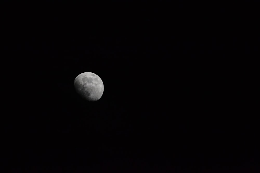 moon on focus photography