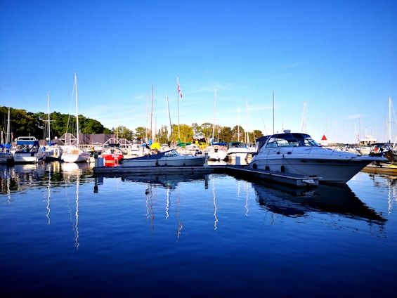 A peaceful marina dock with small boats moored, surrounded by lush greenery near a quaint village center.