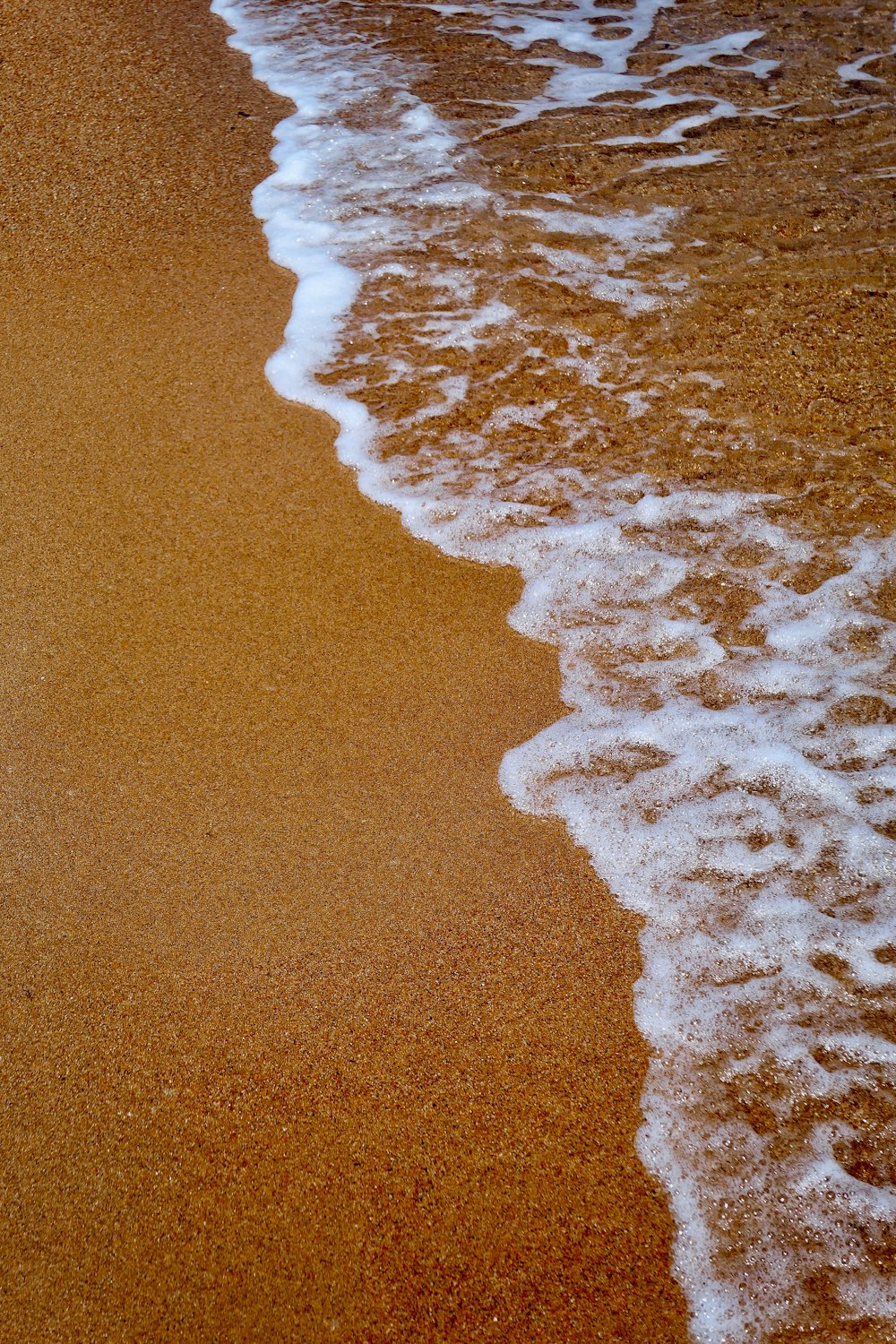 갈색 모래 해변에 하얀 바다 거품