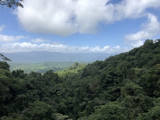 Dense, lush green tropical rainforest extends to the horizon under a blue sky with scattered clouds. Rolling hills and distant mountains are visible in the background, creating a sense of vastness and natural beauty.