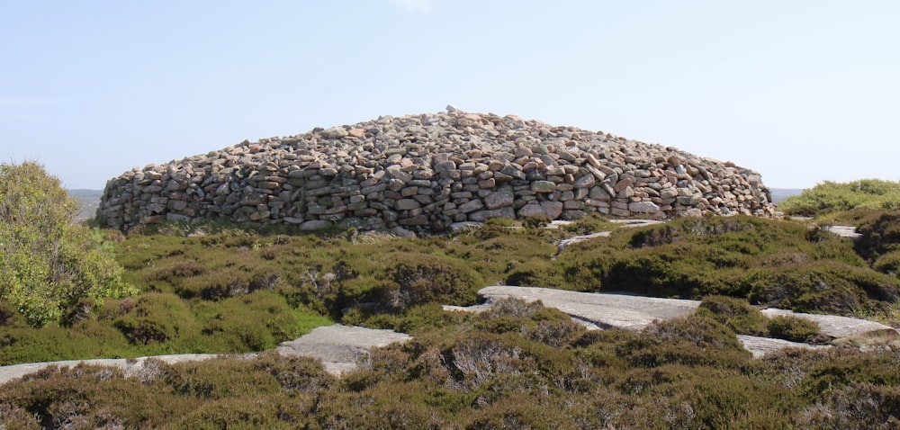 Grünes Grasland über Steinmauer