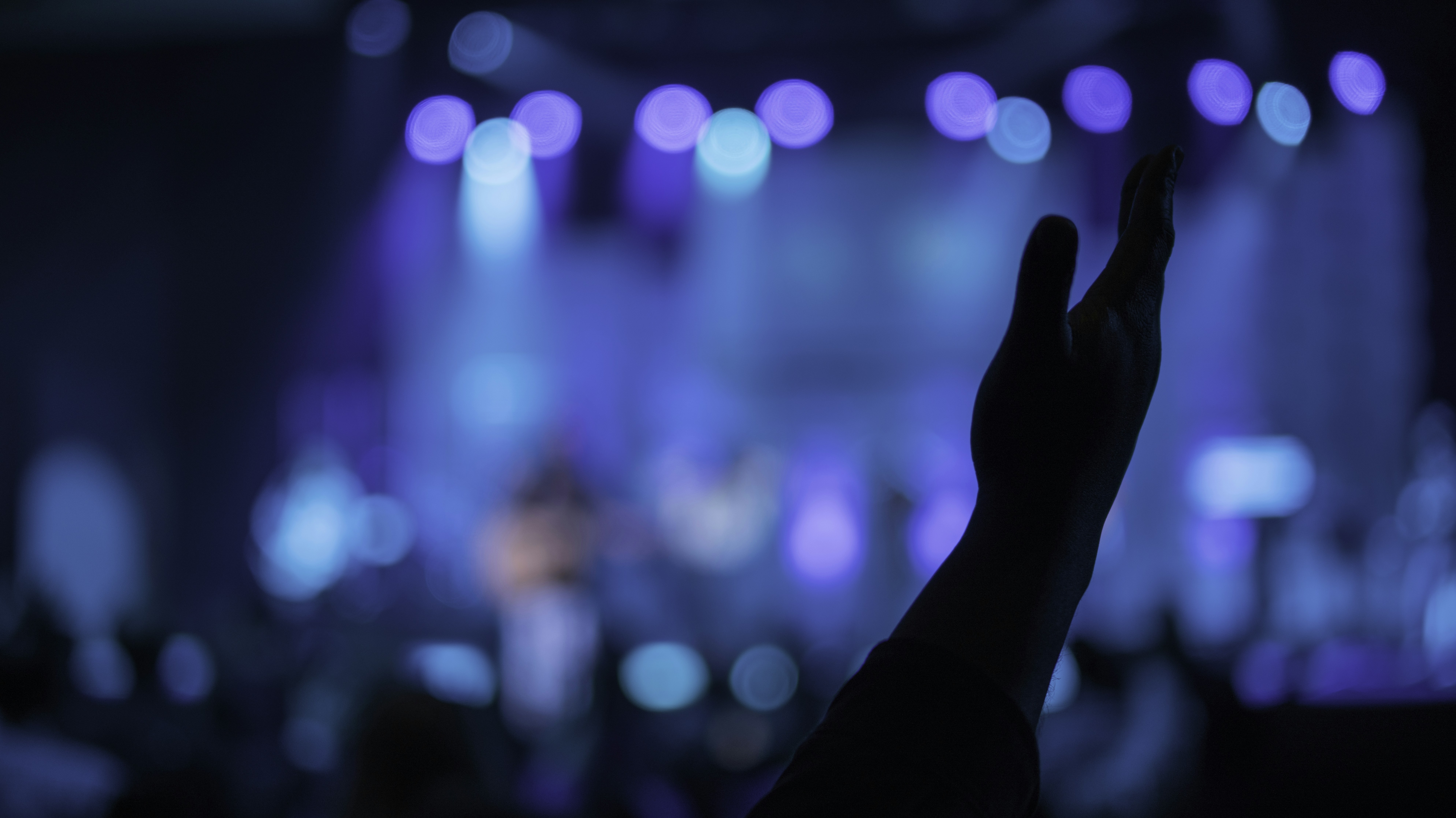 Photo by alexwfeeney