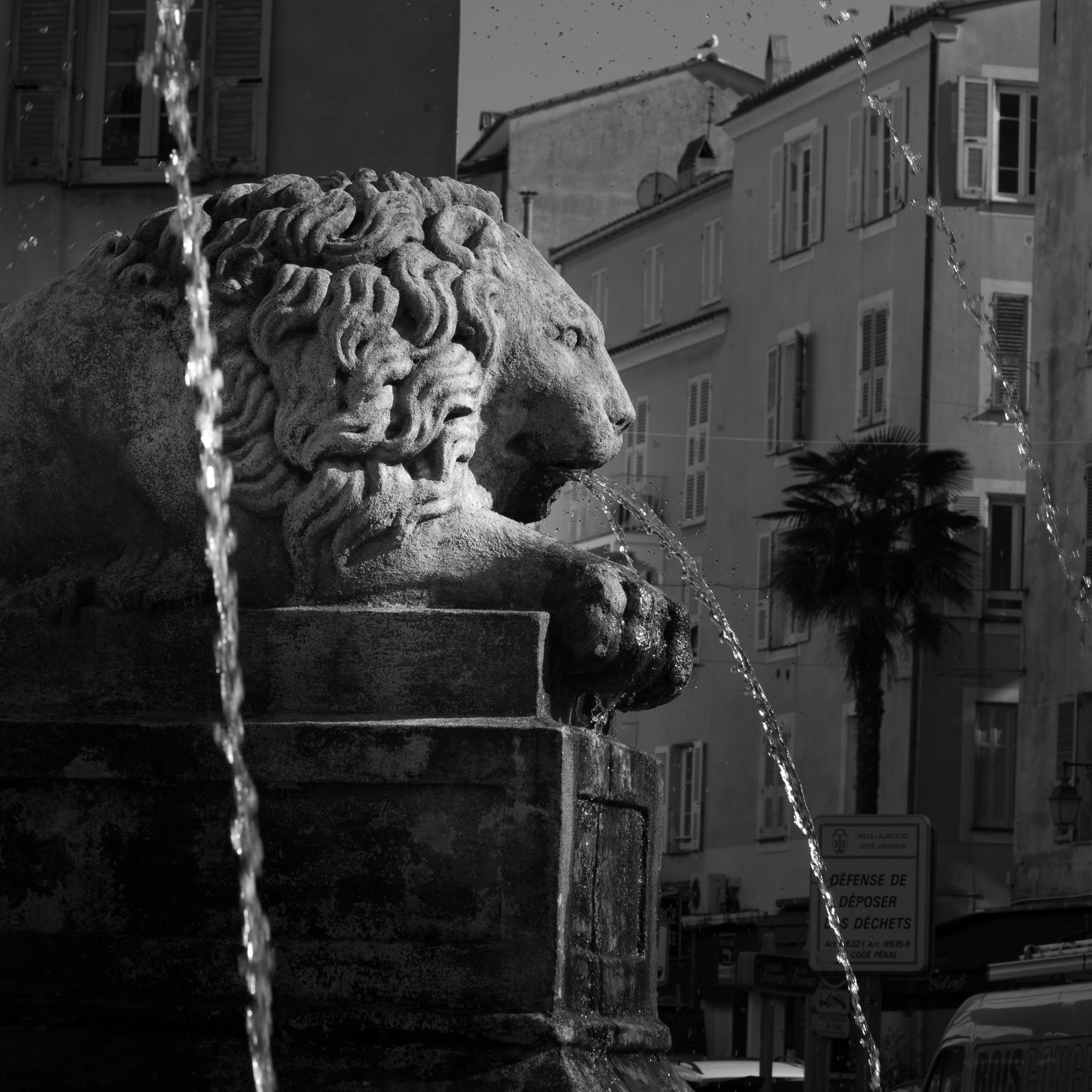 The lion pouring water