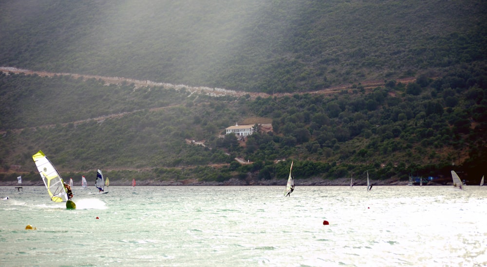 assorted wind surfers at sea